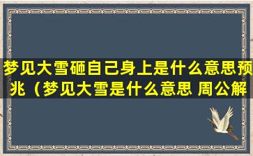 梦见大雪砸自己身上是什么意思预兆（梦见大雪是什么意思 周公解梦梦见大雪）